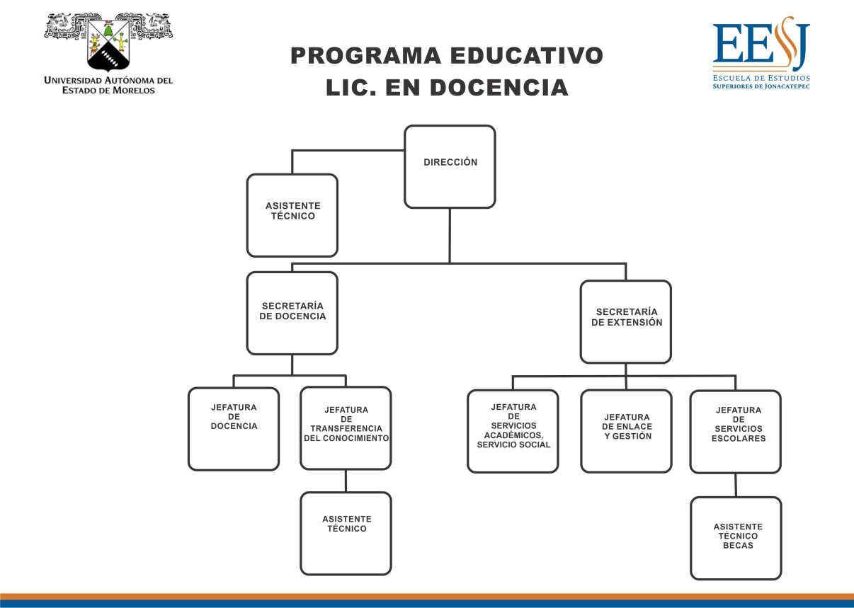 Organigrama